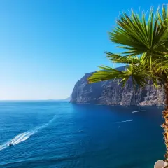 En palm svajar vid en klippig kust. Blå hav med båtar som kör fort. Kanske Gran Canaria eller Teneriffa.