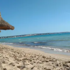 Solig strand med halmtaksparaplyer längs kusten vid Palma de Mallorca. Turkost vatten och en klarblå himmel.