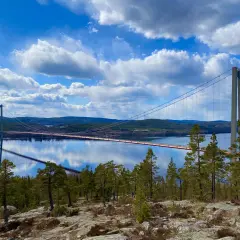 A suspension bridge spans a calm body of water under a bright blue sky with fluffy white clouds.