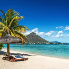 En palm och parasoll på en sandstrand. I bakgrunden turkost vatten, en stad och berg. Drömmen om att åka till Mauritius blir verklighet.