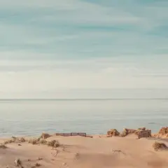 Sanddyner och gräs vid en lugn strand i Halland. Havet möter en ljus himmel med tunna moln.