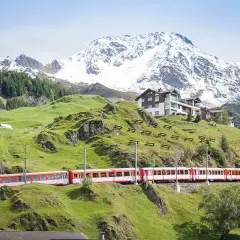 Rött och vitt tåg i Schweiz slingrar sig fram genom ett grönt berglandskap med snöklädda toppar i bakgrunden.