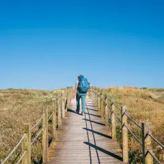 Vandrare med blå ryggsäck går längs en träbro genom sanddyner. En del av camino portugues.