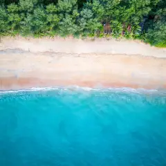 En vy ovanifrån över en strand i Thailand, Khao Lak. Turkost vatten möter en sandstrand kantad av gröna träd.