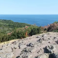 Stenigt landskap med buskar och träd som leder ner mot det blå havet. En vy från sveriges sydligaste nationalpark.