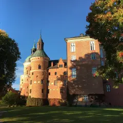 A red brick medieval castle with green domed towers under a clear blue sky, framed by autumn trees.