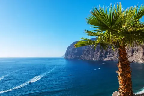 En palm svajar vid en klippig kust. Blå hav med båtar som kör fort. Kanske Gran Canaria eller Teneriffa.