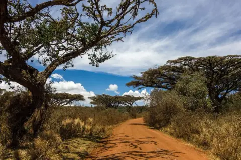 En dammig väg leder genom savannen i Tanzania, kantad av akacieträd och torrt gräs under en blå himmel med moln.