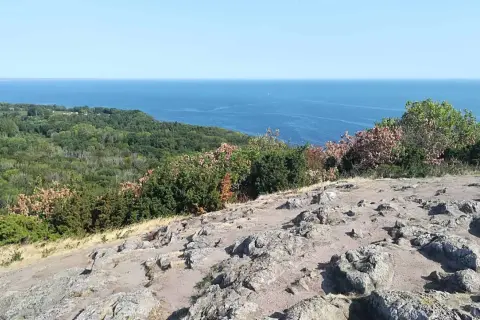 Stenigt landskap med buskar och träd som leder ner mot det blå havet. En vy från sveriges sydligaste nationalpark.