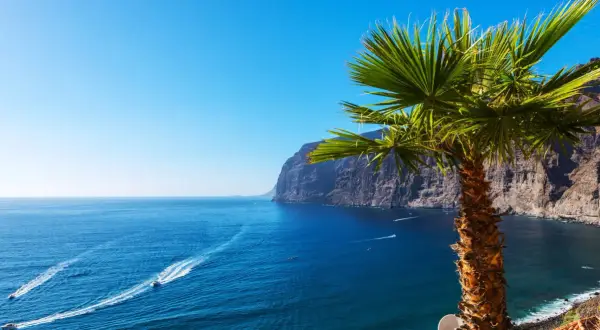 En palm svajar vid en klippig kust. Blå hav med båtar som kör fort. Kanske Gran Canaria eller Teneriffa.