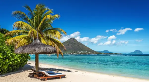En palm och parasoll på en sandstrand. I bakgrunden turkost vatten, en stad och berg. Drömmen om att åka till Mauritius blir verklighet.