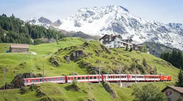 Rött och vitt tåg i Schweiz slingrar sig fram genom ett grönt berglandskap med snöklädda toppar i bakgrunden.