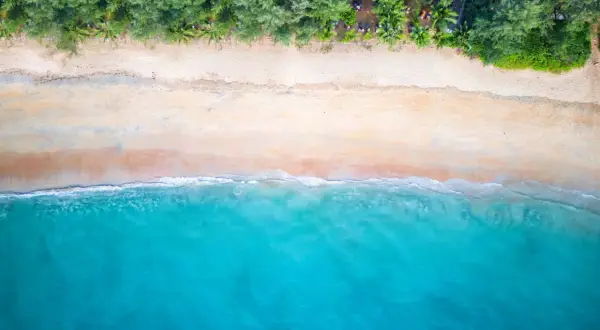 En vy ovanifrån över en strand i Thailand, Khao Lak. Turkost vatten möter en sandstrand kantad av gröna träd.