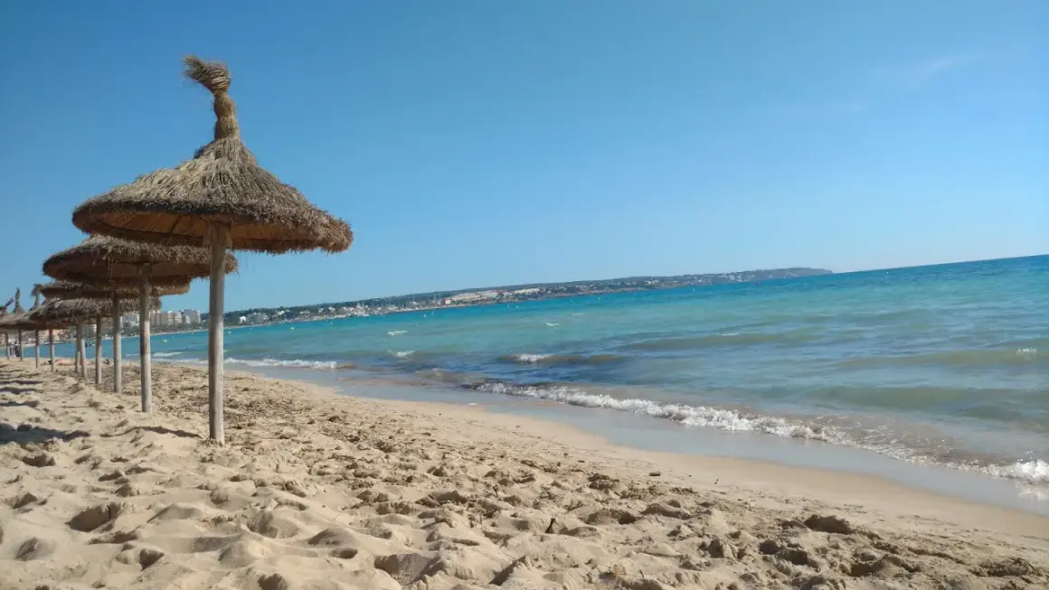 Solig strand med halmtaksparaplyer längs kusten vid Palma de Mallorca. Turkost vatten och en klarblå himmel.