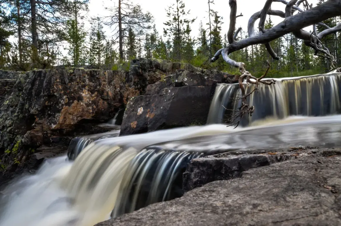 Helvetesfallet Orsa: Vatten forsar över stenar i en skogsmiljö. En död gren hänger över fallet.