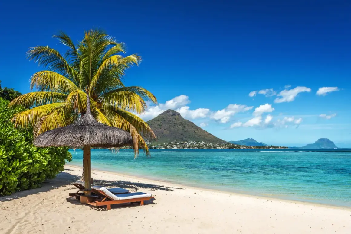 En palm och parasoll på en sandstrand. I bakgrunden turkost vatten, en stad och berg. Drömmen om att åka till Mauritius blir verklighet.