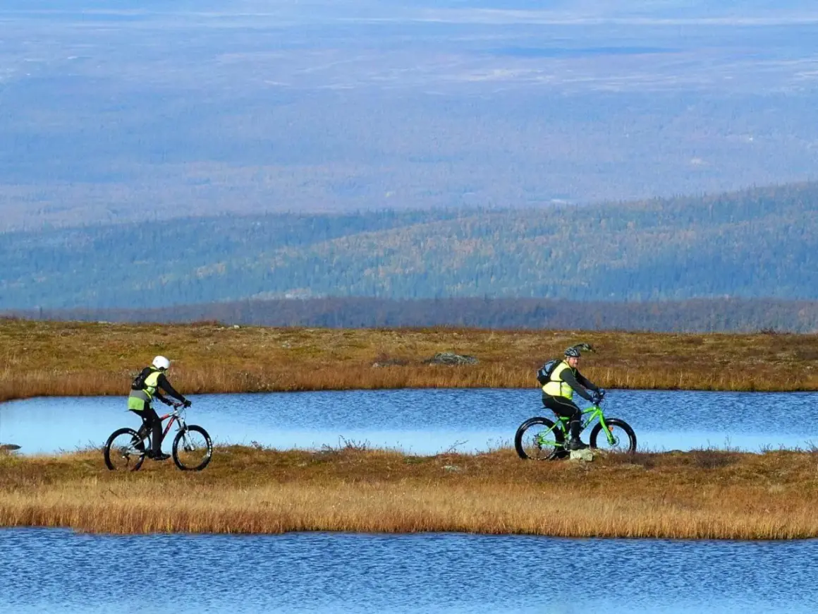 Två cyklister njuter av en cykelsemester i Sverige, susar fram längs sjöar i ett vidsträckt landskap.