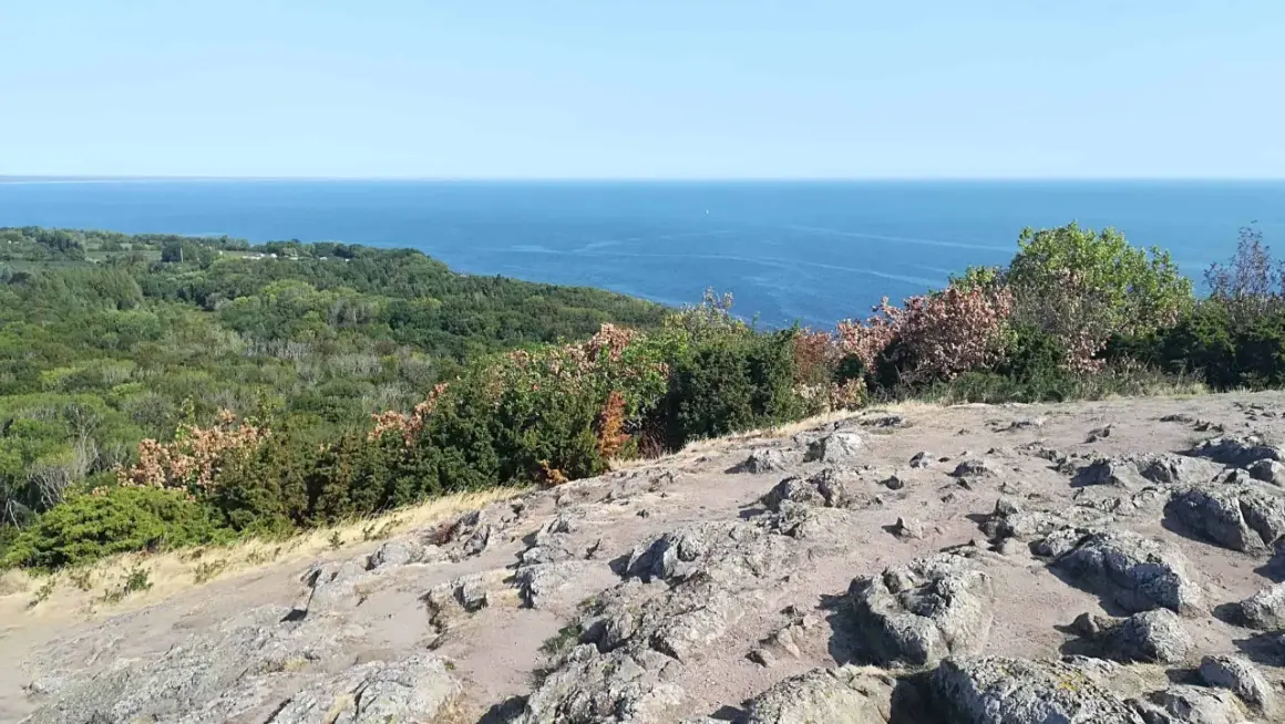 Stenigt landskap med buskar och träd som leder ner mot det blå havet. En vy från sveriges sydligaste nationalpark.