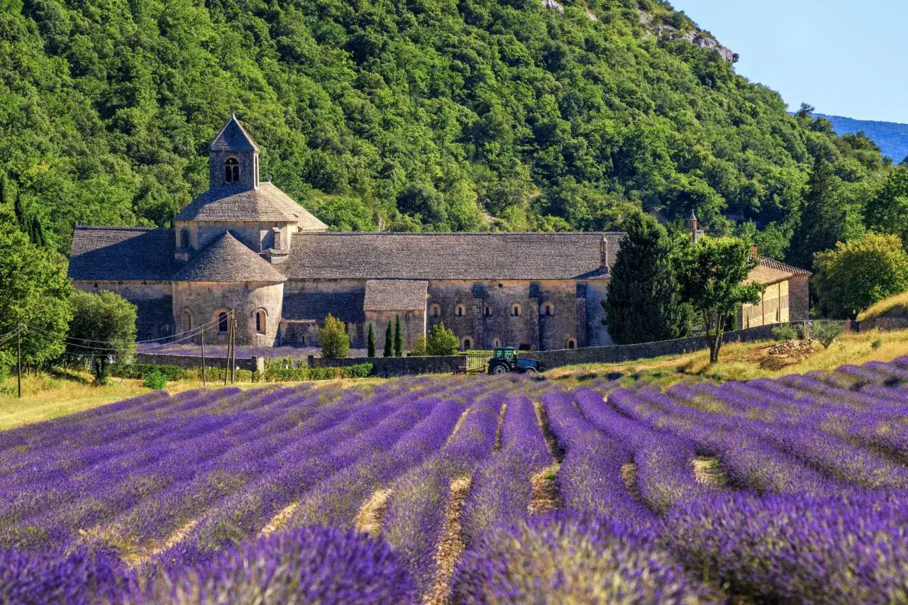 Ett kloster i Provence, Frankrike, med böljande fält av lavendel i förgrunden och en grönskande sluttning bakom. En traktor syns vid klostret.