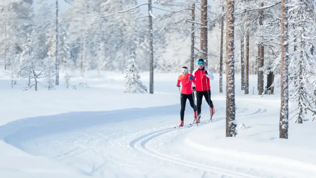 Tv&aring; personer &aring;ker l&auml;ngdskidor i en sn&ouml;t&auml;ckt skog. Perfekt f&ouml;r skidorter i Dalarna.