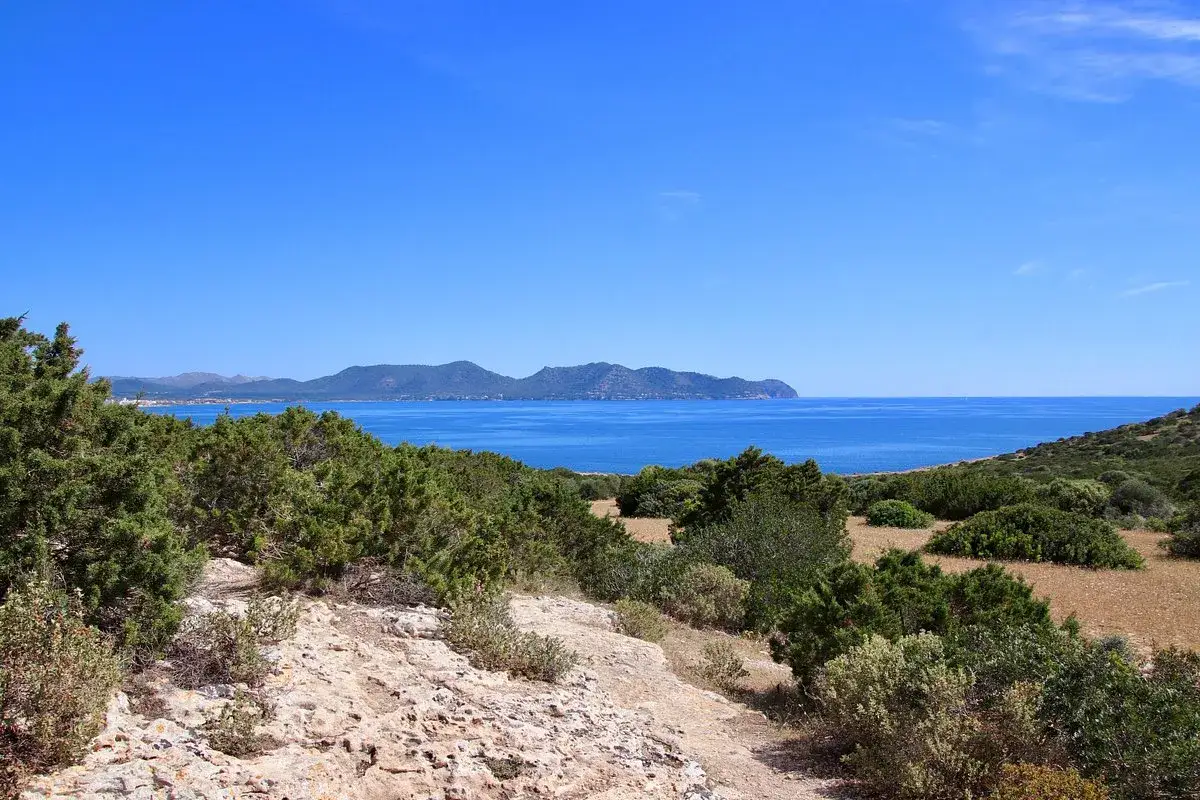 Vacker utsikt över Cala Millor beach med turkost vatten och gröna kullar.