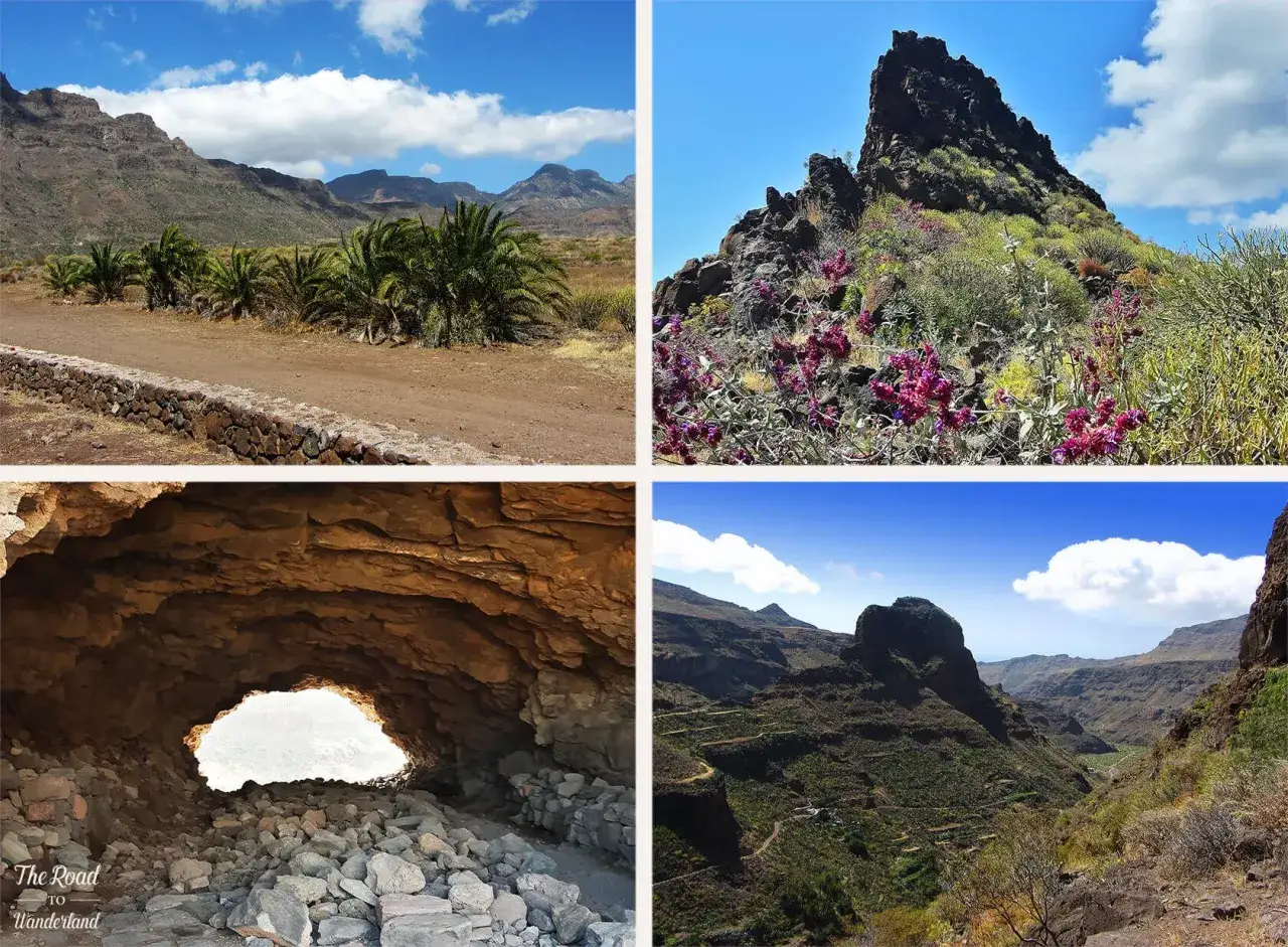 Vackra vyer från Gran Canaria eller Teneriffa: palmer, klippor med blommor, en grotta och en dalgång.