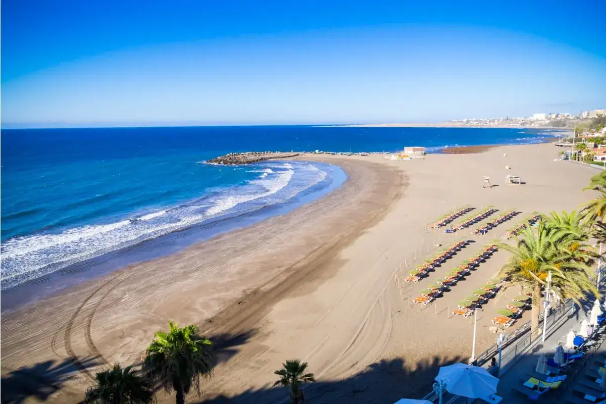 En vidsträckt gran canaria strand med turkost hav, gyllene sand och rader av solstolar under palmer.