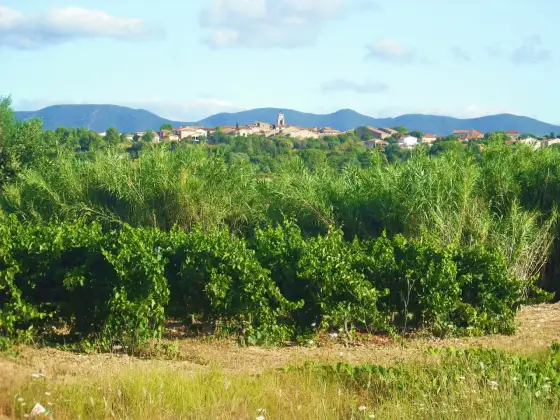 Mysiga byar i Languedoc - de bästa stoppen för en långsam resa