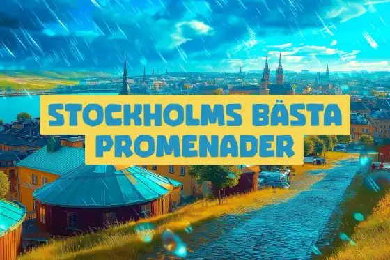 Promenad runt Djurgården - välj rätt runda för dagen