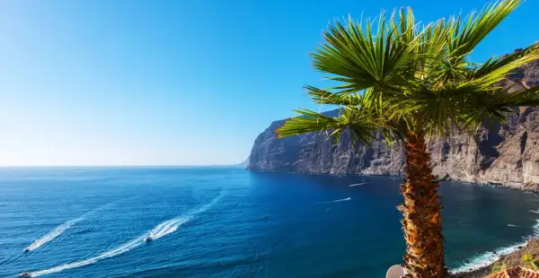 En palm svajar vid en klippig kust. Blå hav med båtar som kör fort. Kanske Gran Canaria eller Teneriffa.